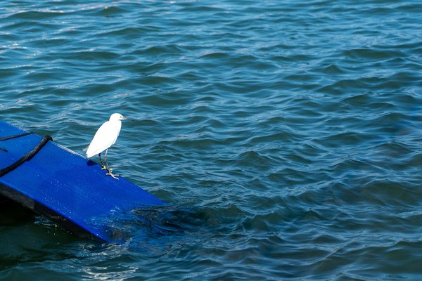 Centremedicalgynecosexo